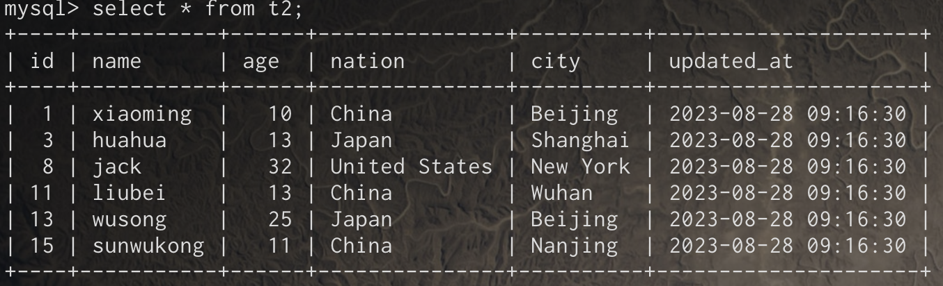 image-20230828183027071